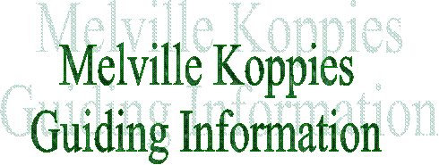 Melville Koppies
Guiding Information