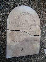 Melville Koppies Central